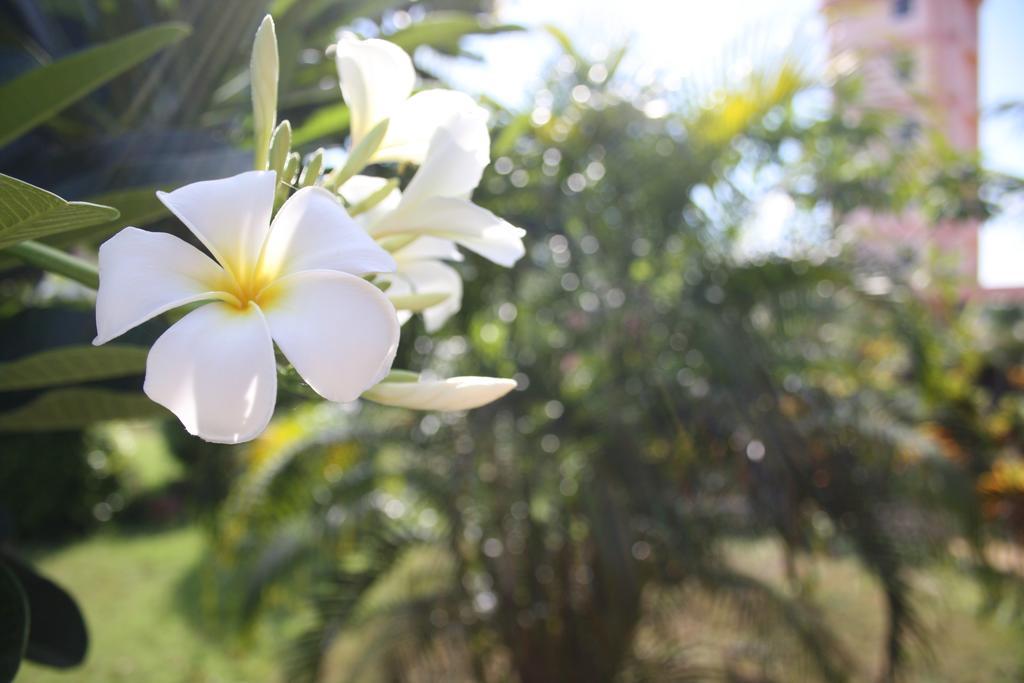 Ao Thai Resort Sathing Phra Ngoại thất bức ảnh