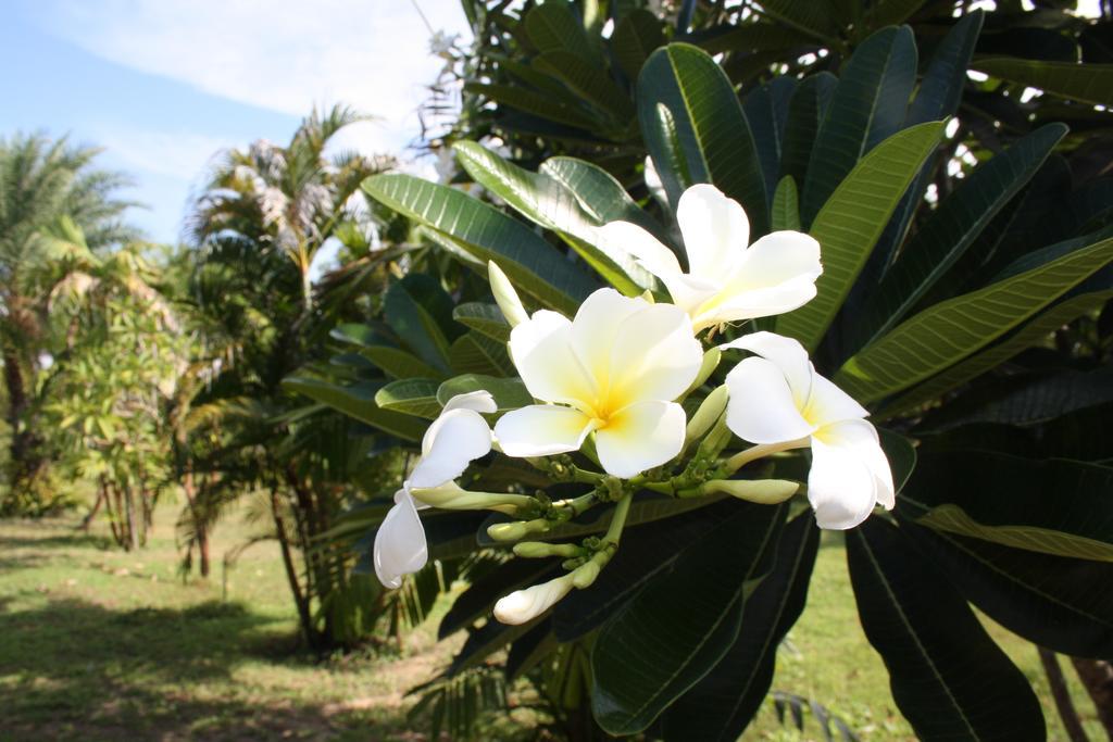 Ao Thai Resort Sathing Phra Ngoại thất bức ảnh
