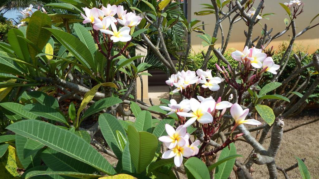 Ao Thai Resort Sathing Phra Ngoại thất bức ảnh